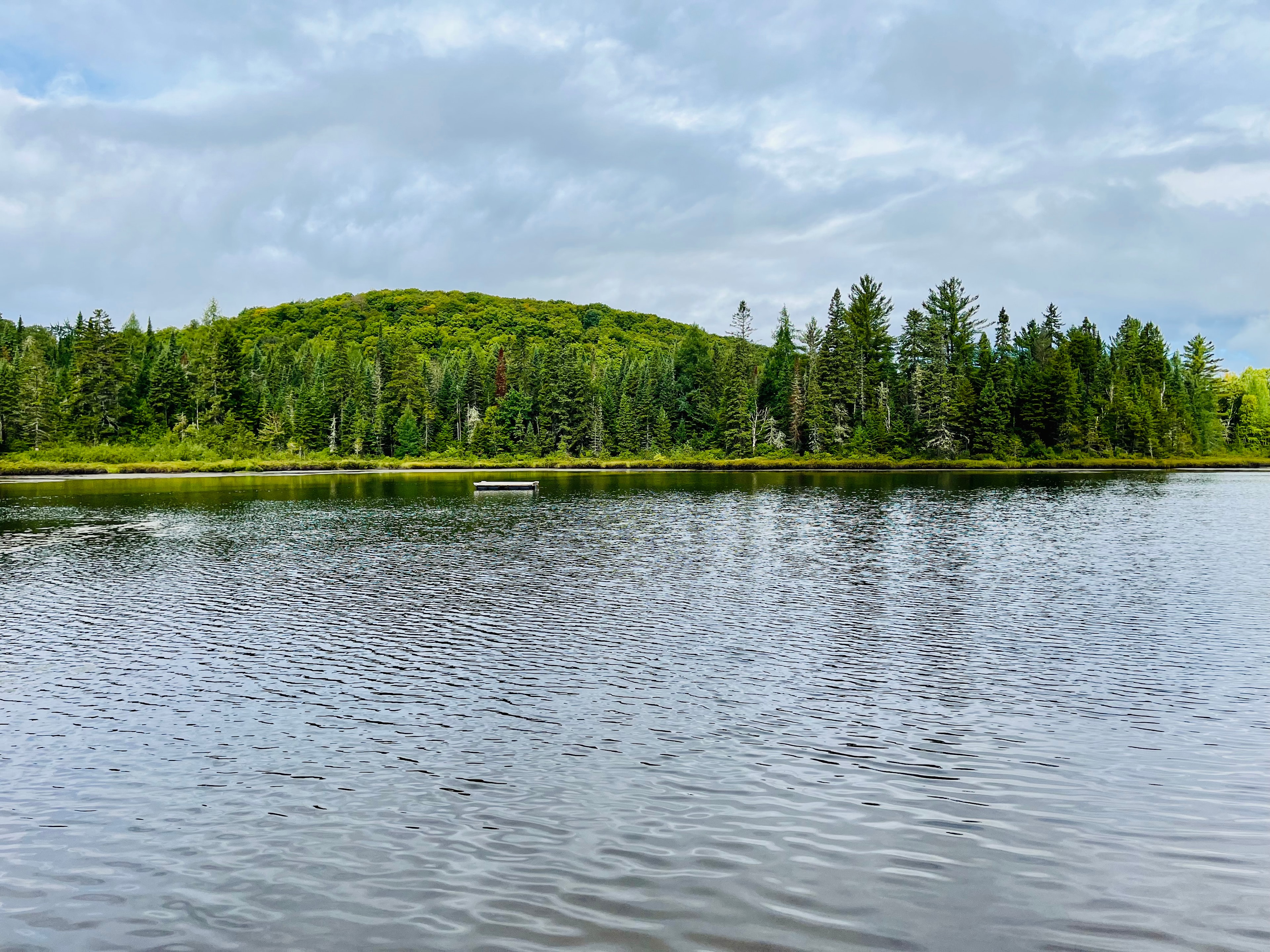 Chalet au bord du lac avec vue sur la forêt