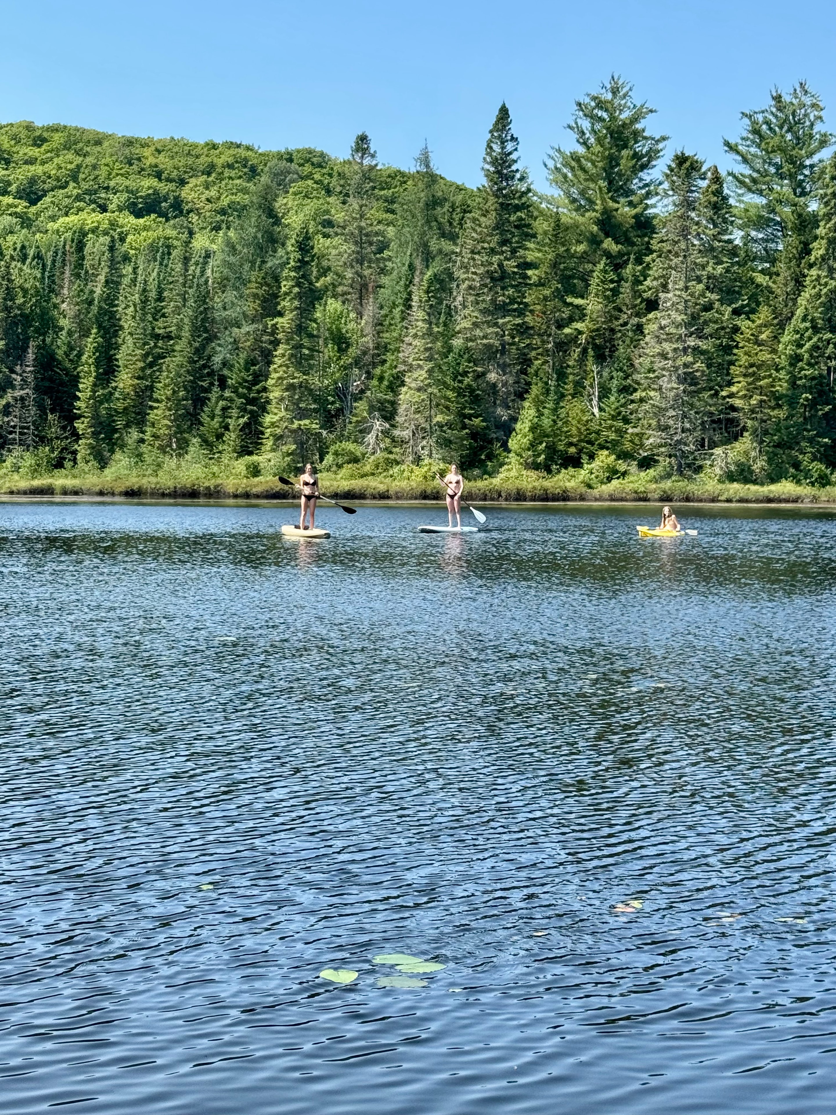 Paddle sur le lac en été