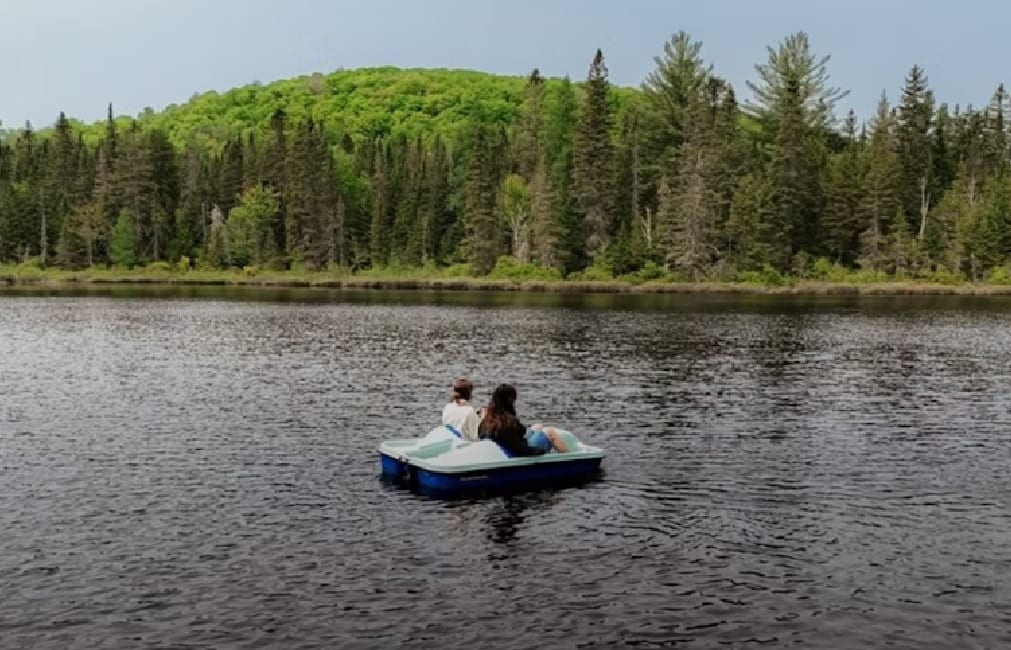 Pédalo sur le lac en forêt